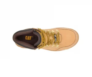 CATM-P90801-010719-S17-TOP