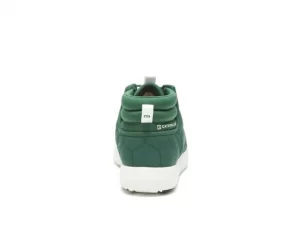 code-scout-mid-green-caterpillar-store-ecuador3